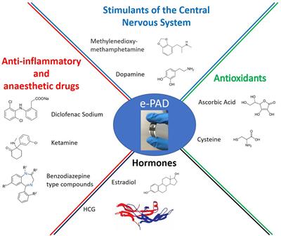 Paper-Based Electrochemical Devices for the Pharmaceutical Field: State of the Art and Perspectives